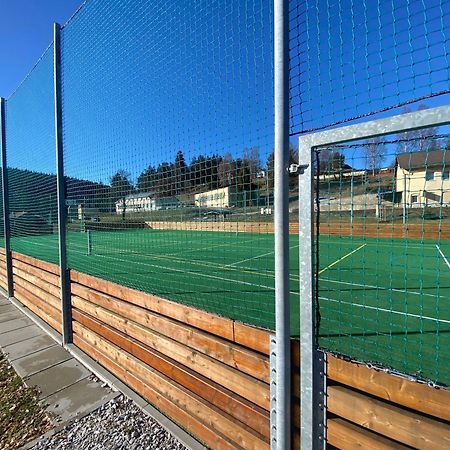 Penzion Tereza Horní Vltavice Εξωτερικό φωτογραφία